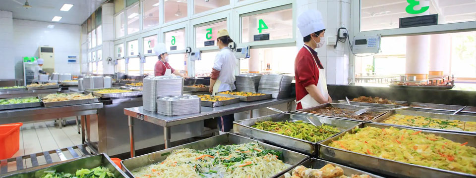 小蝌蚪下载大全小蝌蚪下载免费膳食服务更专业