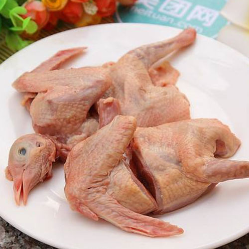 小蝌蚪下载大全小蝌蚪下载免费乳鸽