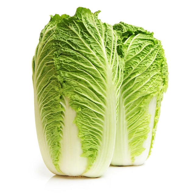 小蝌蚪下载大全小蝌蚪下载免费白菜配送