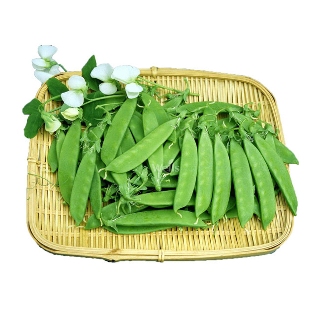 荷兰豆配送-小蝌蚪黄色网站下载配送-深圳市小蝌蚪下载大全小蝌蚪下载免费农产品有限公司