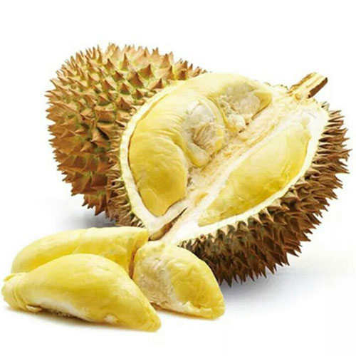 榴莲配送-瓜果配送-深圳市小蝌蚪下载大全小蝌蚪下载免费农产品有限公司