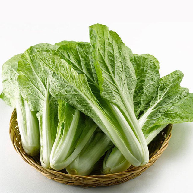 小白菜配送-小蝌蚪黄色网站下载配送-深圳市小蝌蚪下载大全小蝌蚪下载免费农产品有限公司