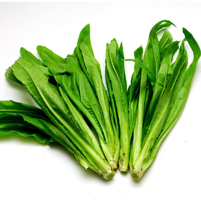 油麦菜配送-小蝌蚪黄色网站下载配送-深圳市小蝌蚪下载大全小蝌蚪下载免费农产品有限公司